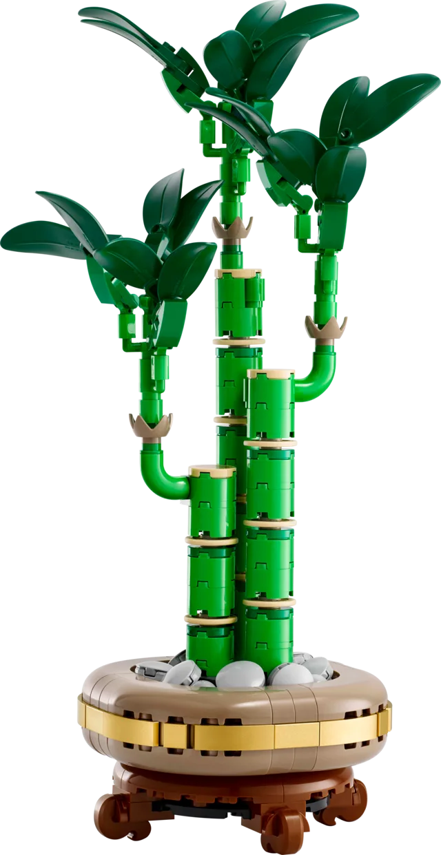 LEGO 10344-1 Lucky Bamboo