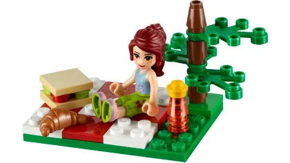 LEGO 30108-1 Summer Picnic