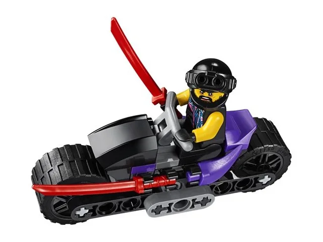 LEGO 30531-1 Sons of Garmadon