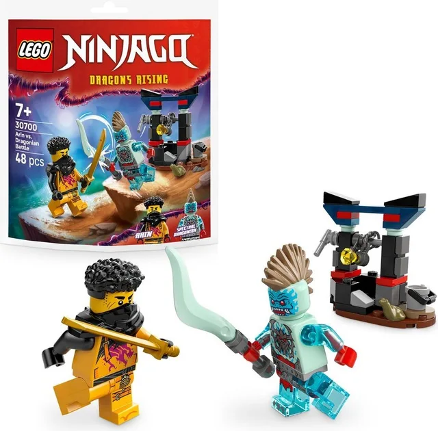 LEGO 30700-1 Arin vs. Dragonian Battle