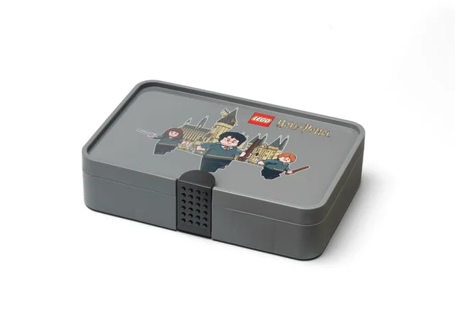 LEGO 5007887-1 Sorting Box with Harry Potter Print