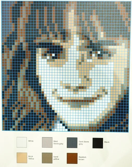 LEGO 6268522-1 Hermione Granger Mosaic