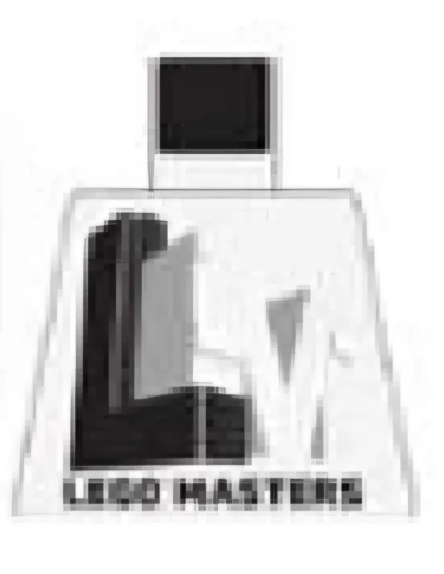 LEGO 6551694-1 LEGO Masters Torso - Black and White