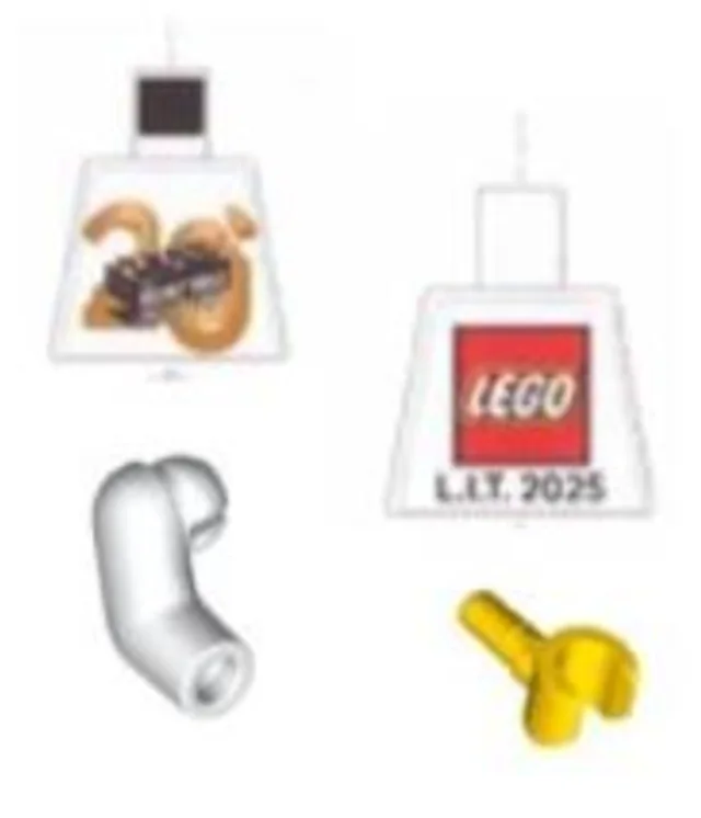 LEGO 6597568-1 The Inside Tour Torso