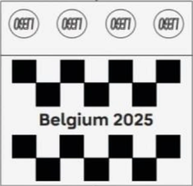 LEGO 6597571-1 2025 Formula 1 Belgian Grand Prix Tile