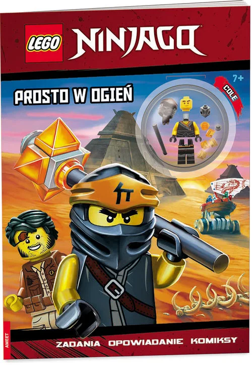 LEGO 9781760506636-1 Ninjago: Into the Fire